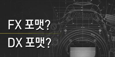 FX 포맷? DX 포맷?